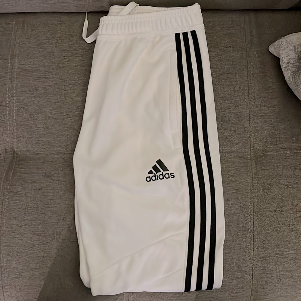 Adidas tiro 19 pants